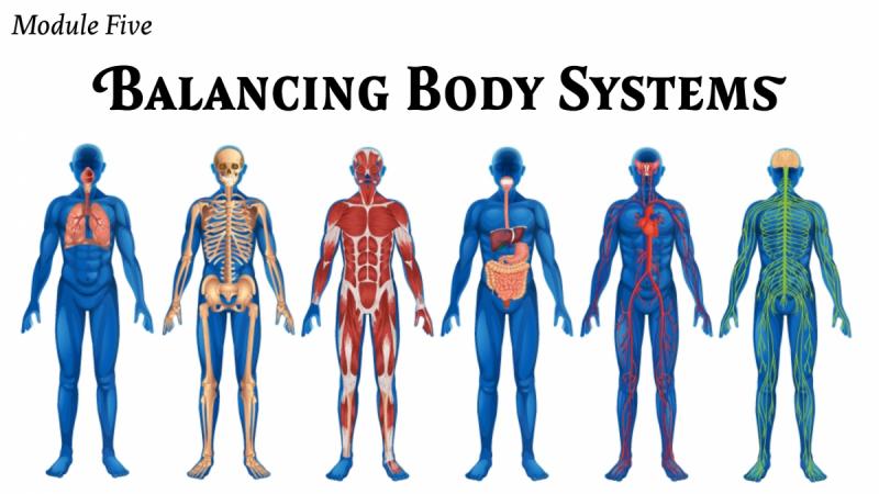 Module Five: Balancing Body Systems